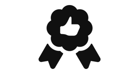 Icon with thumbs up inside an award ribbon